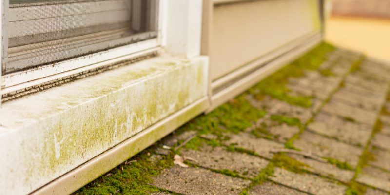 The Lesser-Known Benefits of Professional House Washing