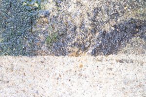 FAQs About Softwashing