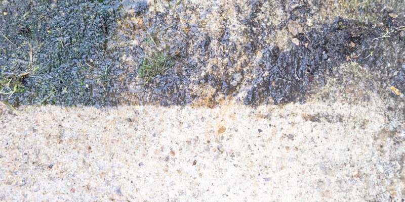 FAQs About Softwashing